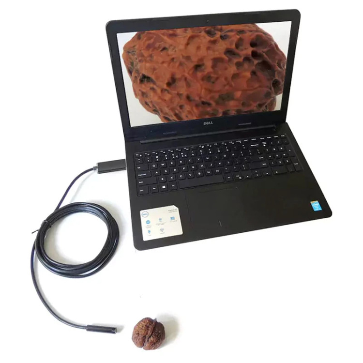 دوربین آندوسکوپی بازرسی 3 در 1 USB